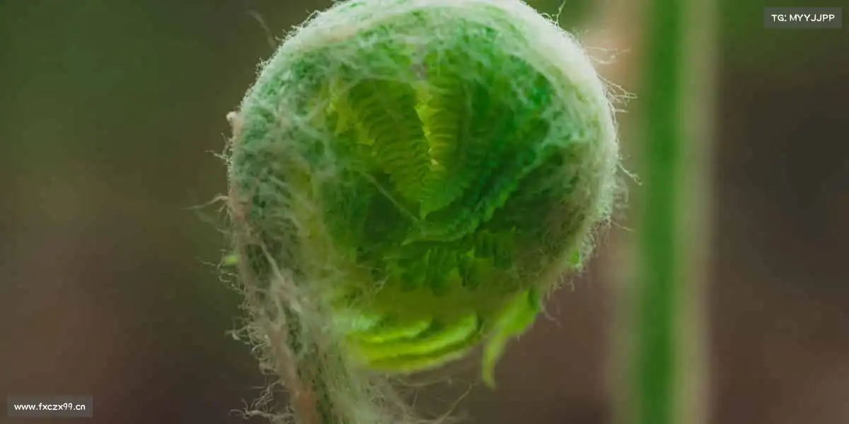 星空电竞运动点燃激情,汗水铸就辉煌!🏋️♀️